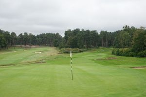 Swinley Forest 18th Back